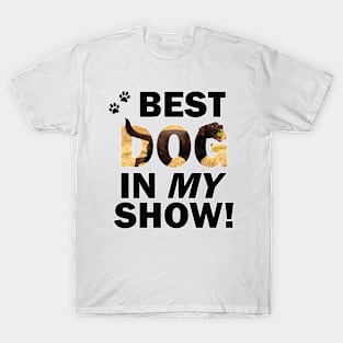 Best Dog In My Show - chocolate labrador oil painting word art T-Shirt